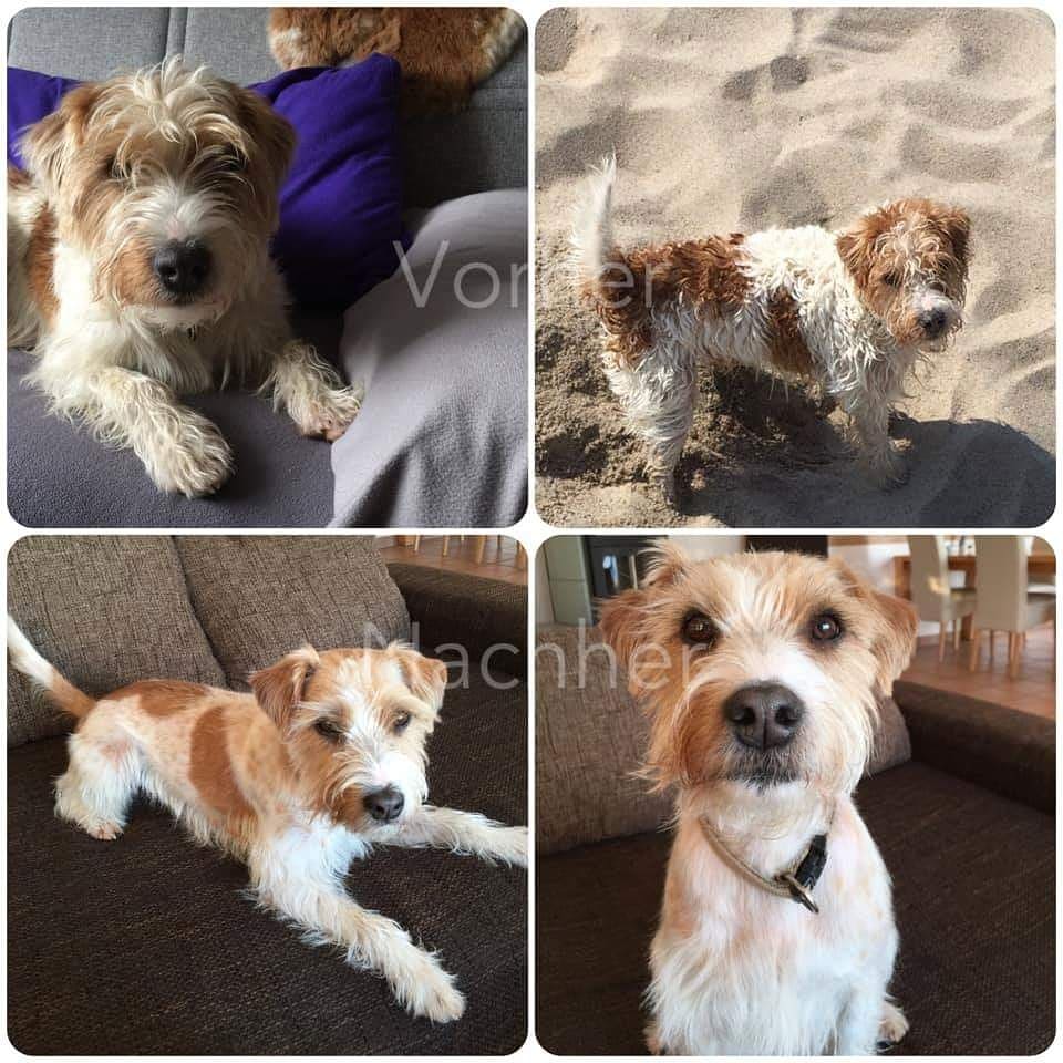 57485436_2312231385717053_1100344881496195072_n